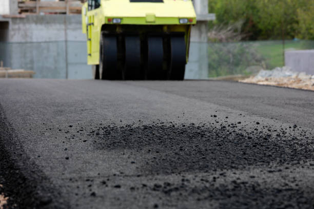 Best Interlocking Driveway Pavers  in Lake Cassidy, WA
