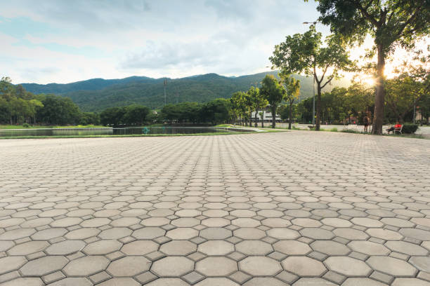 Best Driveway Paving Contractor  in Lake Cassidy, WA